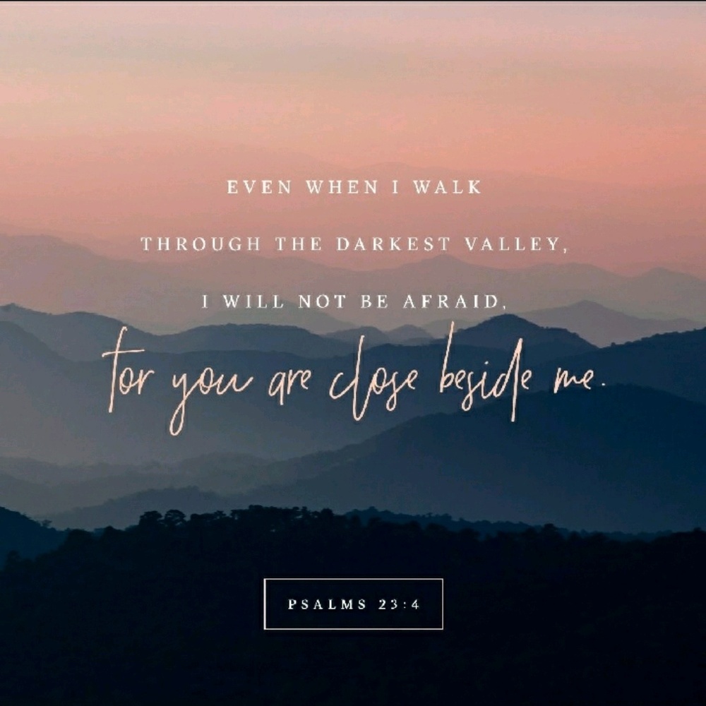 Meet your Posher, Rubi